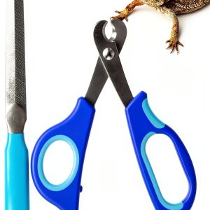 YOUNG-W Bearded Dragon Nail Clippers Stainless Steel-0