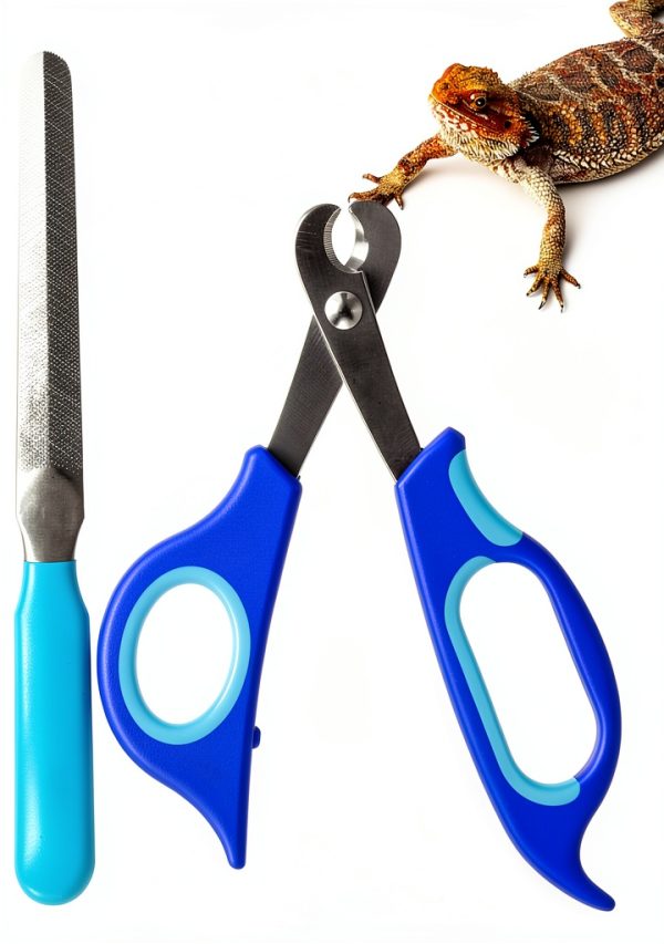 YOUNG-W Bearded Dragon Nail Clippers Stainless Steel-0