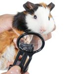 HAICHEN TEC Small Animal Nail Clipper Stainless Steel-0