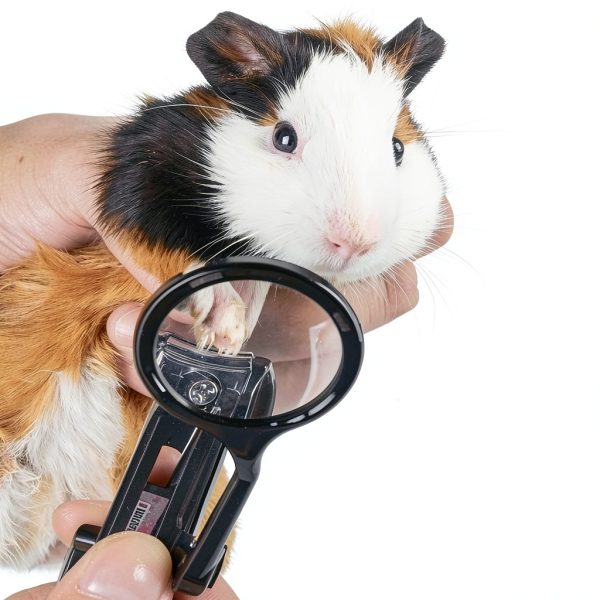 HAICHEN TEC Small Animal Nail Clipper Stainless Steel-0