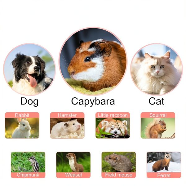 HAEZU Small Animal Grooming Kit Stainless Steel Comb Shed-4