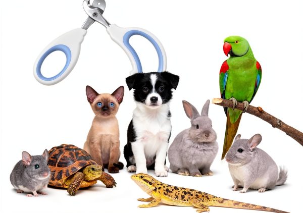 Xyembu Small Animal Nail Clipper Stainless Steel Reptile-3