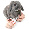Steel Cedar Small Pet Nail Clippers Stainless Steel Grip-3