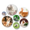 KALAMANDA 6-in-1 Rabbit Grooming Kit Nail Clipper Brush-6