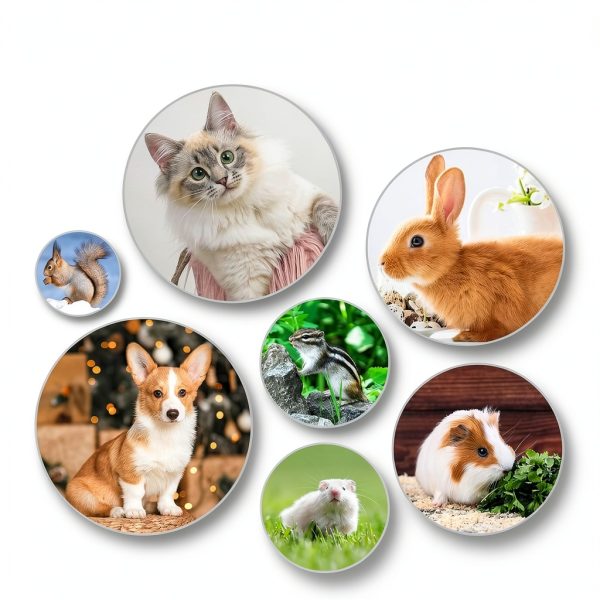 KALAMANDA 6-in-1 Rabbit Grooming Kit Nail Clipper Brush-6