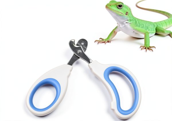 Xyembu Small Animal Nail Clipper Stainless Steel Reptile-2