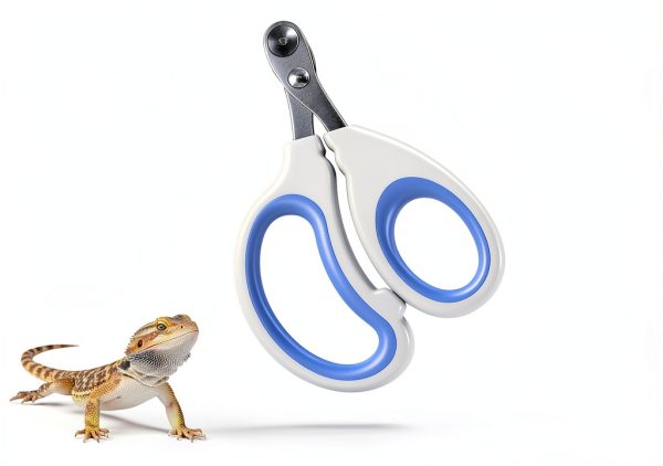 Xyembu Small Animal Nail Clipper Stainless Steel Reptile-1