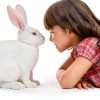 LUKHMELF Rabbit Nail Clippers LED Light Pet Grooming Tool-1