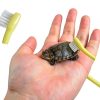 XINGLE Turtle Brushes Nylon Bristles Suction Cup Pet-4