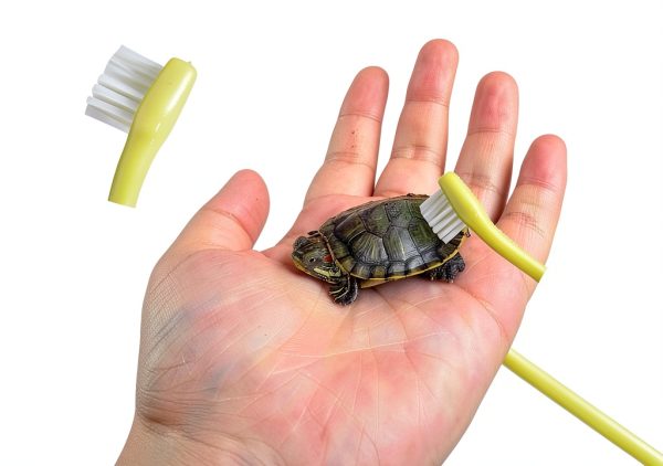 XINGLE Turtle Brushes Nylon Bristles Suction Cup Pet-4