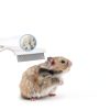 SEZDEKI Stainless Steel Pet Comb Small Animal Grooming Tool-4