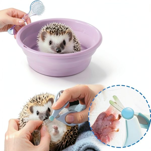 JSLZF Hedgehog Bath Kit Foldable Tub Grooming Supplies-4